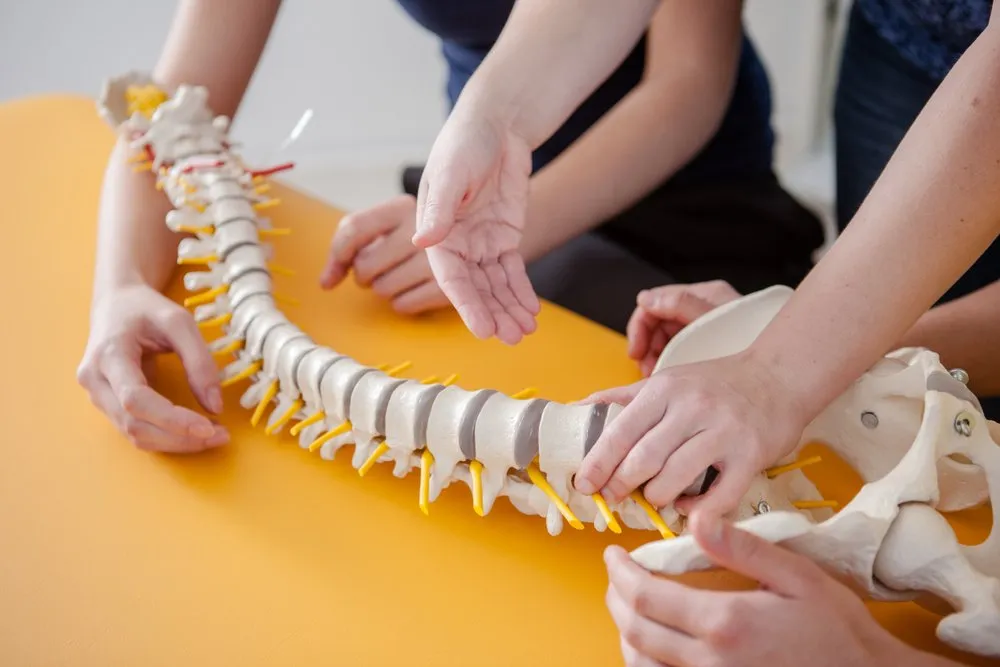Personas con columna vertebral de plástico